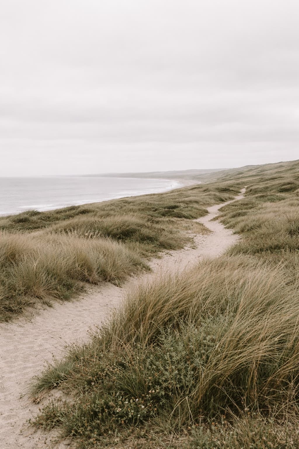 Coastal path, South Africa